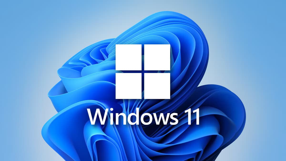 Windows 11 Key kaufen für Home und Pro Versionen im Vergleich