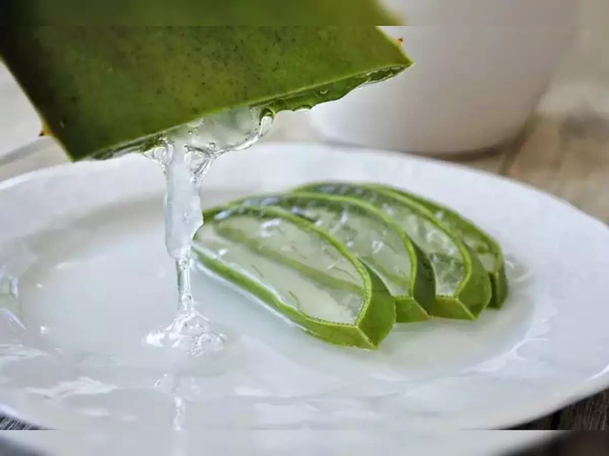 Entdecken Sie die Kraft des Forever Aloe Vera Gels: Ihr Schlüssel zum natürlichen Wohlbefinden