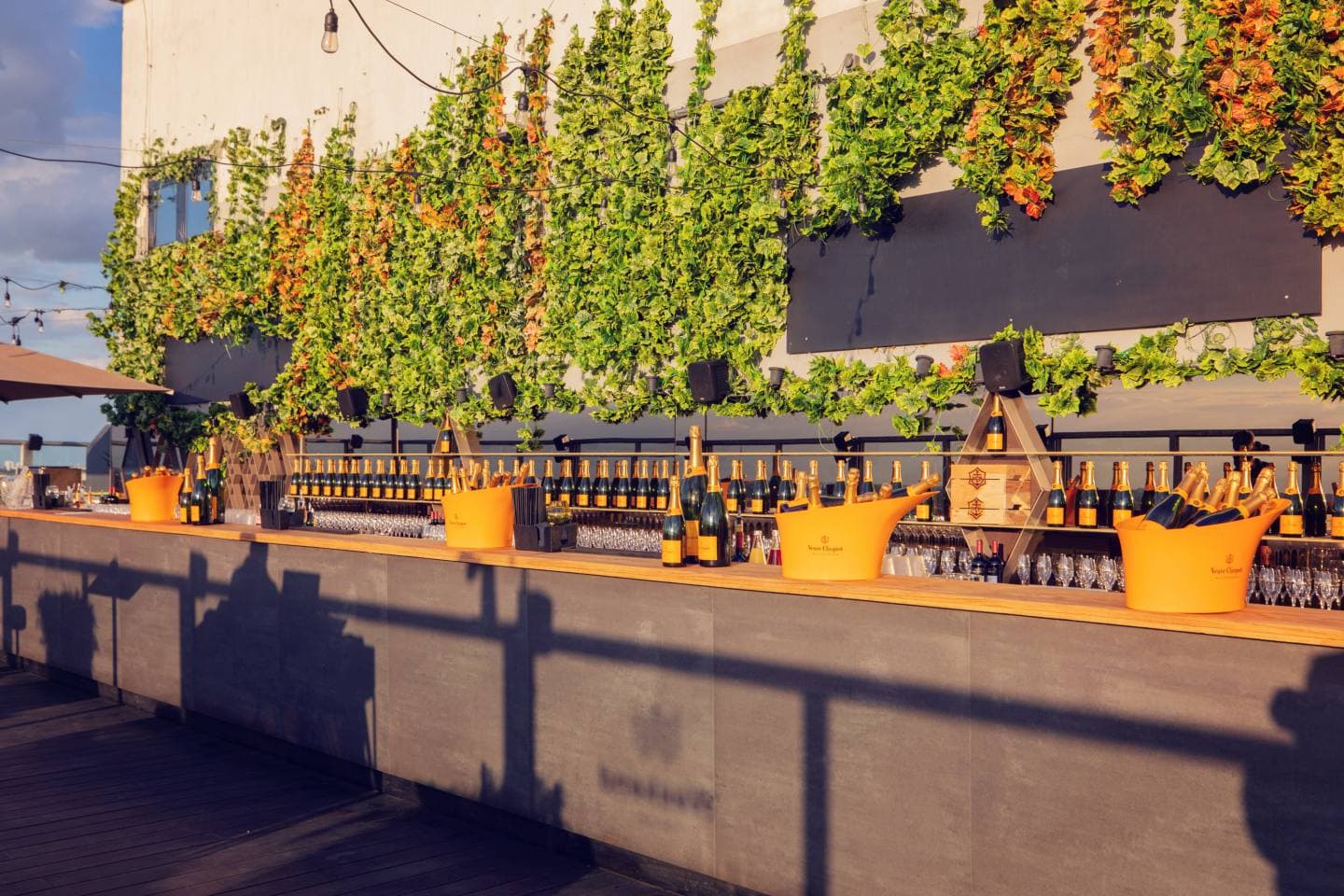 Gin Tasting Berlin: 30 faszinierende Gin-Sorten und das ultimative Gin & Tonic Erlebnis