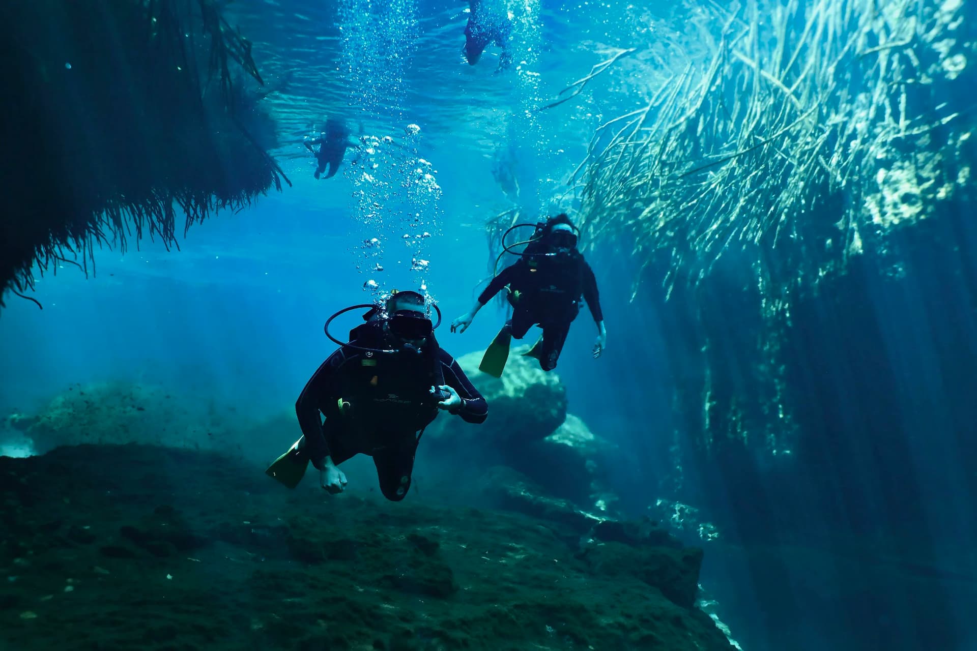 Dive Center Mexiko: Dein Tor zu Mexikos besten Tauchspots