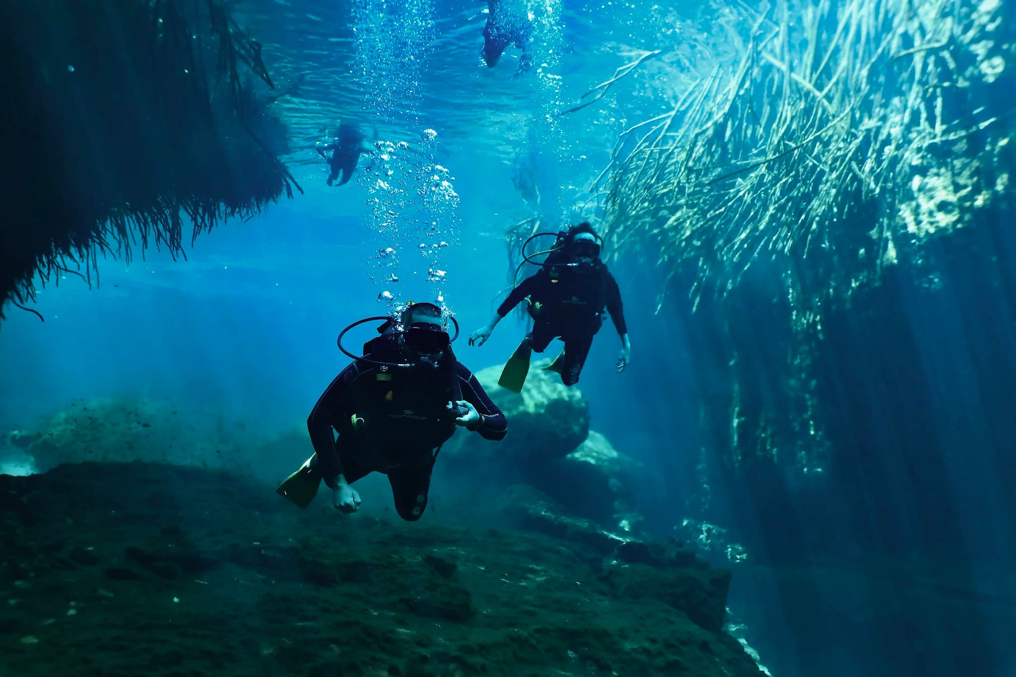 Dive Center Mexiko: Dein Tor zu Mexikos besten Tauchspots