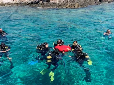 Dive Center Mexiko: Dein Tor zu Mexikos besten Tauchspots