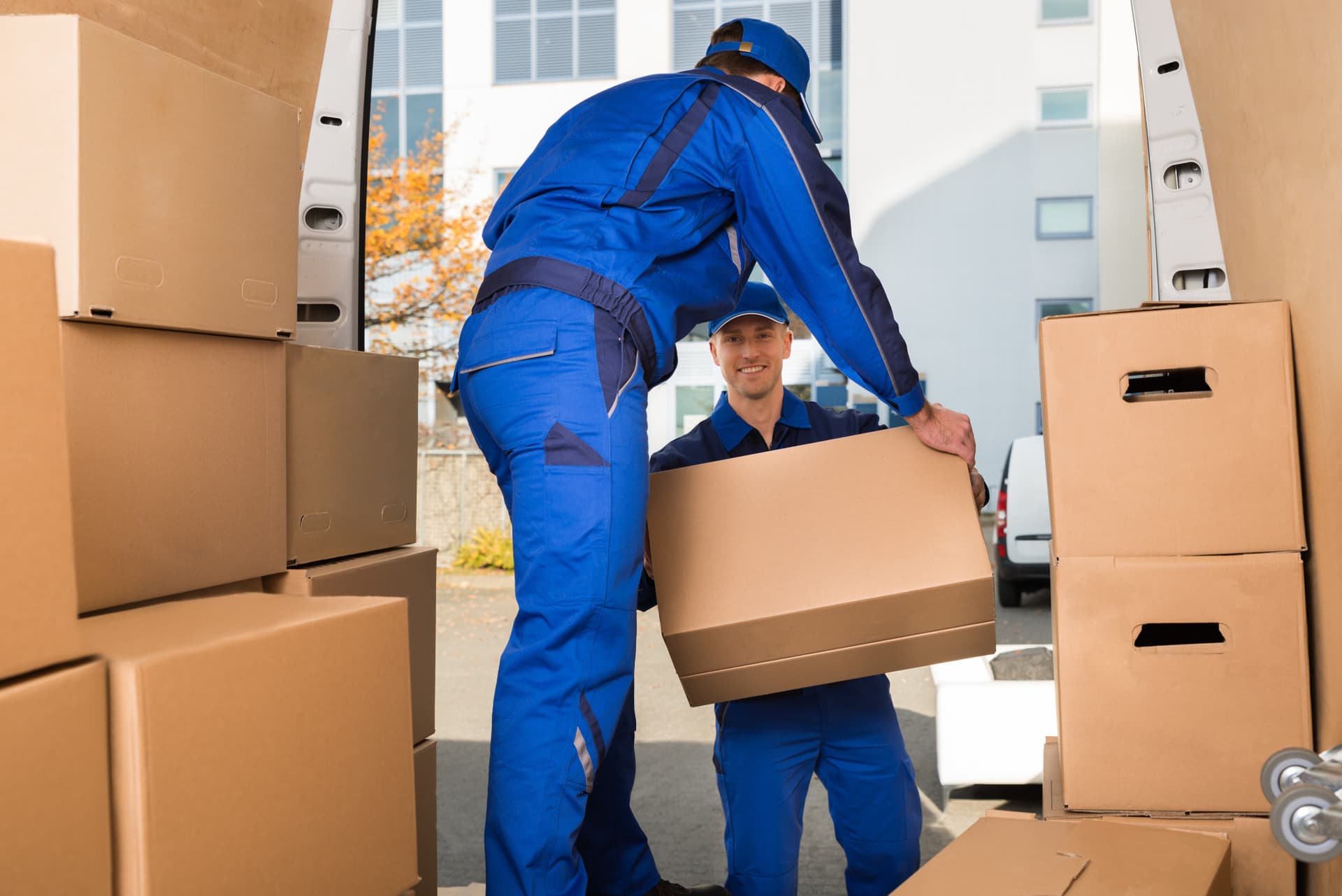 Meister-Job: Schnell und zuverlässig – Umzugsunternehmen in der Nähe